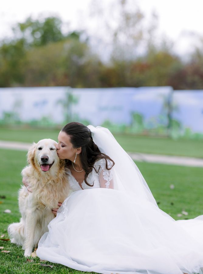 Nuntă Andreea & Gabriel · 4